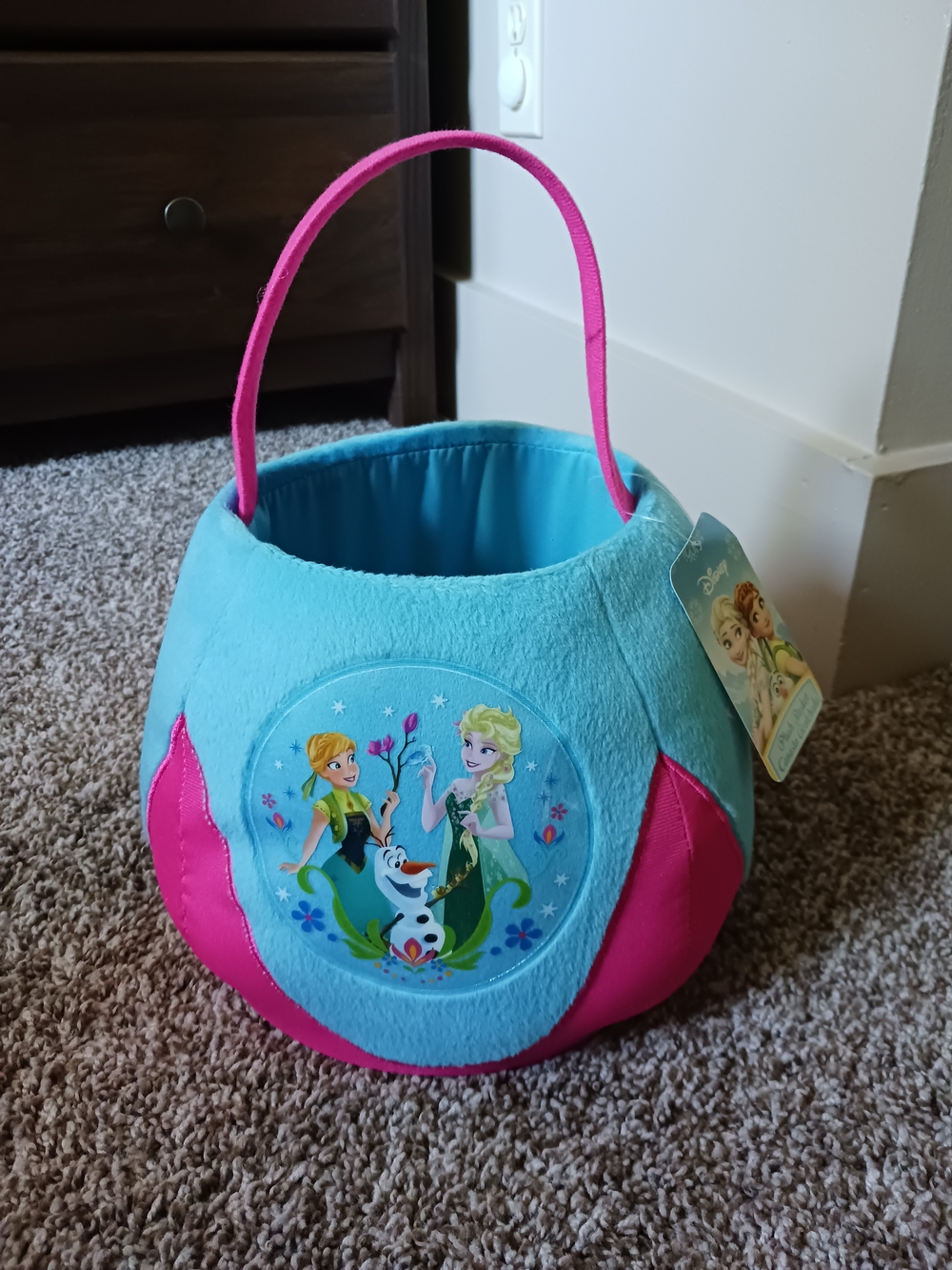 NWT Disney Frozen Elsa & Anna Aqua and Hot Pink Kids Basket
